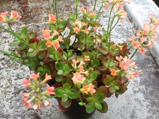 2014033009020000.jpg